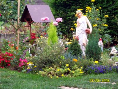 nouvelle vue du jardin