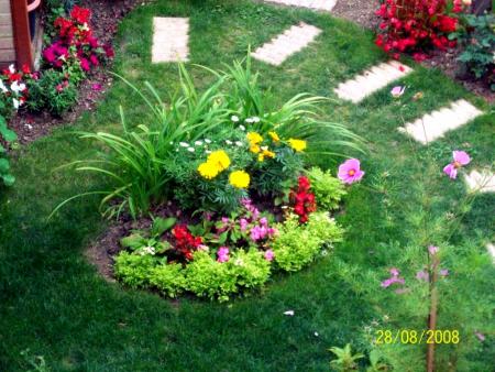 nouvelle vue du jardin