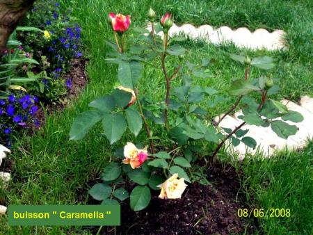 Caramella